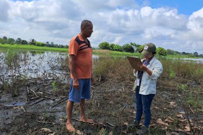 Un técnico del ministerio de Agricultura confirma la afectación de un agricultor, por el clima, para que pueda recibir el bono.