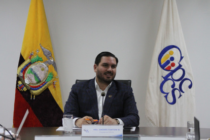 Andrés Fantoni es el presidente del Consejo de Participación Ciudadana.