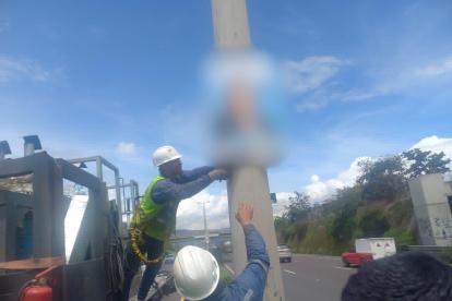 Funcionarios de la AMC retiraron carteles que promocionaban las candidaturas de Daniel Noboa y Luisa González en la Ruta Viva, valle de Quito.