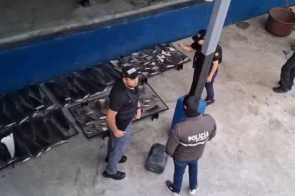 Policía Nacional incauta aletas de tiburón en Manta.