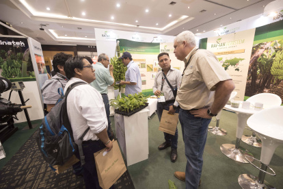 La cumbre del banano se dará por 3 días en el centro de convenciones.
