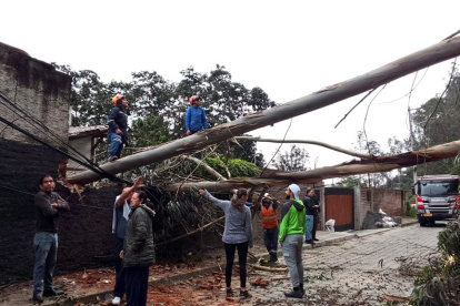 El árbol cayó sobre una vivienda y bloqueó el paso vehicular en la av. Los Conquistadores, en Guápulo, nororiente de Quito.