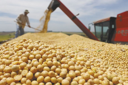 Uno de los cuestionamientos es el uso de franja de precios, para abaratar costos de importación.
