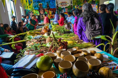 Los shuar realizan el festival de la semilla en Morona Santiago, para manter los bosques de la Amazonía