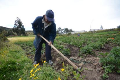 Un pequeño producto realiza trabajos en su finca.