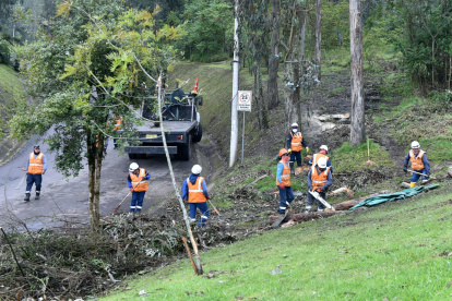 La Epmmop tiene una gerencia de áreas verdes en donde se identifica a los árboles en situación de riesgo.
