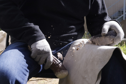 El LAEX está compuesto por varias salas y un patio donde se "fabrica" el pasado.
