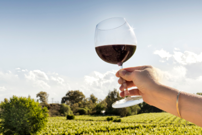 Todos los 17 de abril se celebra el Día del Malbec.