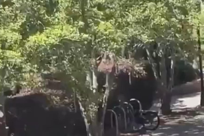 Agentes de seguridad trasladando a una persona durante un tiroteo este jueves, en la Universidad Estatal de Florida en Tallahassee (Estados Unidos).