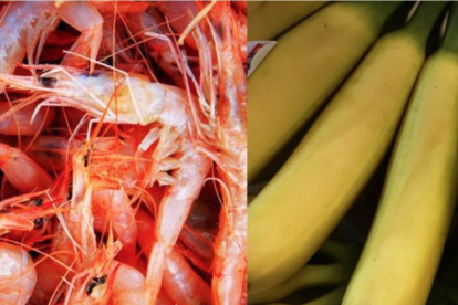 Los camarones y bananos que son productos estrellas de las exportaciones de Ecuador.
