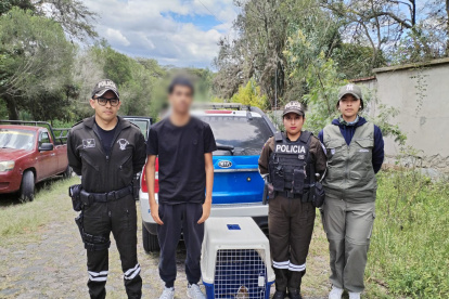Un ciudadano fue aprehendido por presunta implicación en este delito ambiental; el espécimen rescatado recibe atención especializada.