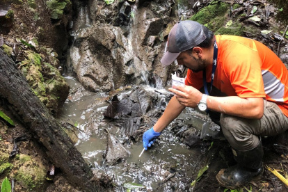 Investigación. La Universidad de Las Américas culminó el proyecto de investagación de microalgas que reducen compuestos contaminantes.