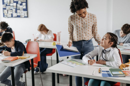 Docentes. Las instituciones superiores tienen el objetivo de formar profesionales en pedagogía en distintas áreas de conocimiento y emocionales.