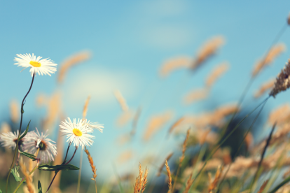 ¿Cuándo llega el verano a Guayaquil?