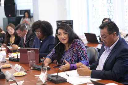 La asambleísta del correísmo Gissela Garzón preside la comisión ocasional.