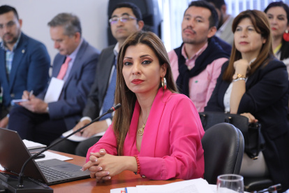 La jueza y presidenta del Tribunal Contencioso Electoral, Ivonne Coloma.