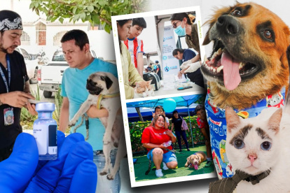 Hasta el próximo 27 de abril, en Guayaquil habrá jornadas de atención veterinaria gratuita para perros y gatos en distintos sectores de la ciudad. La adopción de mascotas se hará presente.