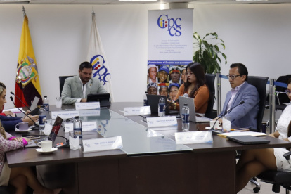 El Consejo de Participación tiene a cargo la designación de las autoridades de control.