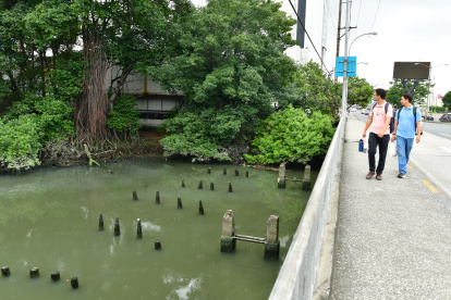 La actividad humana es el principal contaminante.