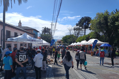 Comerciantes autónomos de Nayón tienen nuevo espacio seguro en los corredores comerciales.