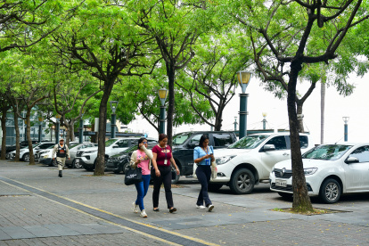 Puerto Santa Ana es una zona comercial y turística donde continúa la construcción de edificios.