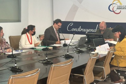 El Consejo de la Judicatura no ha podido renovarse por la falta de la terna del Ejecutivo. Sus vocales están prorrogados.