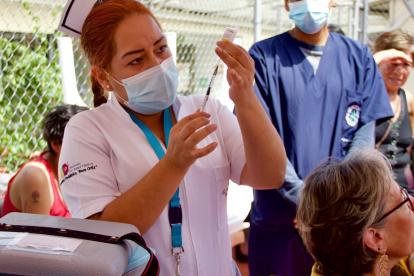 El Ministerio de Salud detalló qué viajeros deben vacunarse contra la fiebre amarilla y el tiempo de colocación de la dosis.