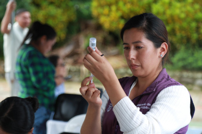 El Ministerio de Salud anunció que habrá brigadas para vacunar contra la tosferina y la fiebre amarilla en los planteles de cuatro provincias.