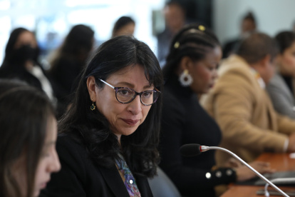 La vocal principal del Consejo de la Judicatura, Solanda Goyez.