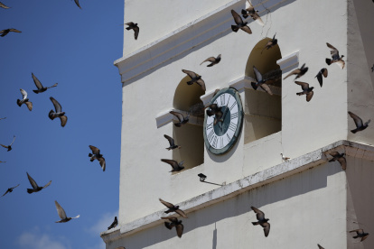 Fotografía del 11 de abril de 2025 de palomas volando frente al reloj de la catedral de la Inmaculada Concepción en Comayagua (Honduras).