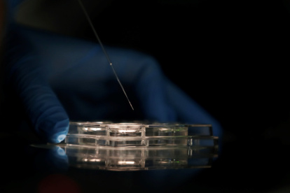 Personal técnico trabaja en una imagen de archivo en un laboratorio.