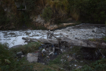 Una sentencia judicial reconoció el daño ambiental sufrido por el río Machángara.