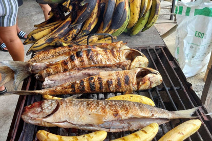 la lisa asada al carbón, marinada con un aliño molido a mano como en los tiempos de las abuelas, una delicia.-