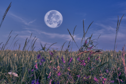 La Luna de las Flores se verá este 12 de mayo en Ecuador, coincidiendo con una microluna que la hará lucir más pequeña de lo habitual.