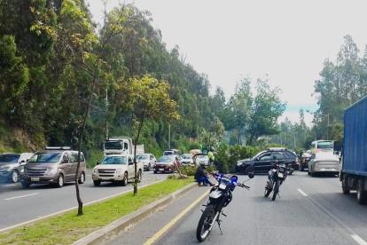 Un árbol se impactó contra un árbol en la avenida Simón Bolívar.