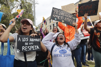 Activistas y colectivos animalistas realizaron un plantón en los exteriores de la Asamblea previo al tratamiento de segundo debate en el pleno sobre la Ley Loda