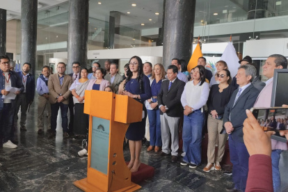 Asambleísta del correísmo, Viviana Veloz.