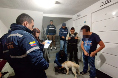 Tras la denuncia de un caso de maltrato animal en Calderón, Quito, personal de la Unidad de Bienestar Animal, AMC y Policía Nacional rescataron a Ninja, un perrito que presentaba graves signos de maltrato.