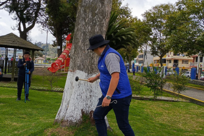 Los técnicos revisaron varios árboles de Latacunga con el objetivo de verificar cual está en mal estado.