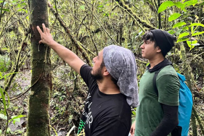 ONG. La Fundación Yaguar trabaja en la Amazonía para cuidar y preservar el hábitat del jaguar ecuatoriano.