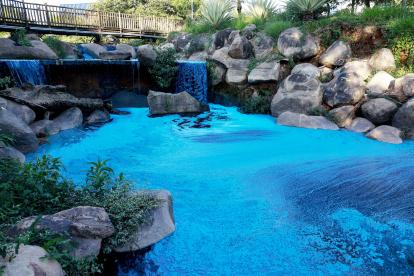 Lago de las Tulipas del Jardín Botánico este miércoles, en el Lago de las Tulipas del Jardín Botánico en Jundiaí (Brasil).