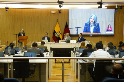 Fernanda Racines fue reelecta como vicealcaldesa con 15 votos a favor.