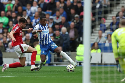Pervis Estupiñán se convirtió en una de las estrellas de Brighton.