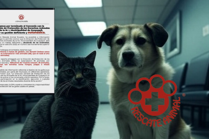 La entidad emitió un comunicado anunciando el finiquito del convenio.