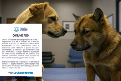El Municipio se pronunció ante la denuncia de Rescate Animal