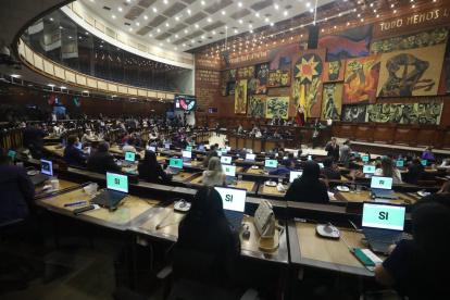 La Asamblea Nacional tiene 30 días para tratar el proyecto.