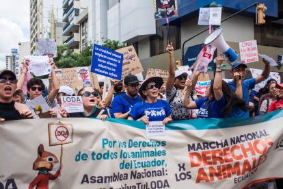 La primera marcha nacional por los derechos de los animales se realizó en febrero pasado. En Guayaquil se dio en el bulevar 9 de Octubre.