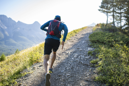Equipos de rescate recorren el páramo andino en busca de Patricio Factos.