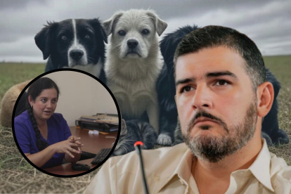 El alcalde respondió a las denuncias de Rescate Animal y señaló a su exdirectora.