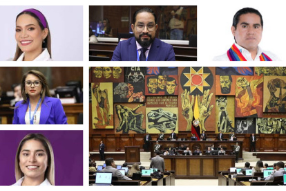 Elección. El Pleno de la Asamblea votó por los asambleístas nominados por legisladores oficialistas para el Comité de Ética Legislativo.